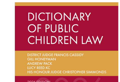 Book cover of 'Dictionary of Public Children Law' with red and gold design.